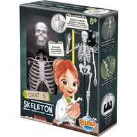 Buki Skeleton